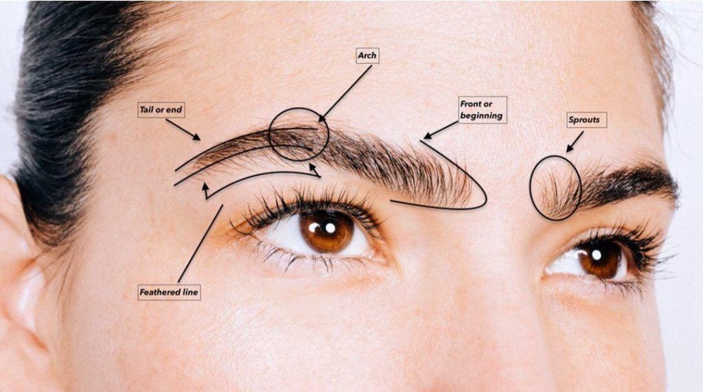 Sterile surgical environment for hair transplant procedures